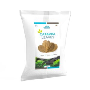 Whimar – Catappa nano 6-9 cm – 20pz