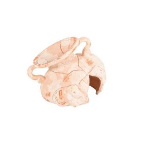 Decorazione per acquari collo anfora Elefante
