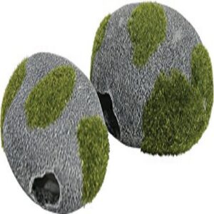 DECO CIOTTOLO MUSCHIO 2 PEZZI M