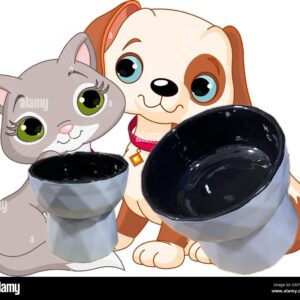 CIOTOLA IN CERAMICA CANE/GATTO

CON RIALZO