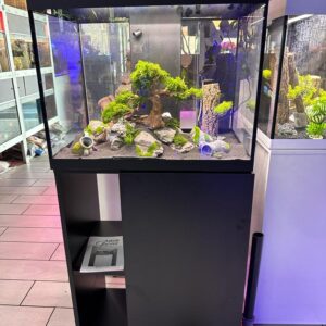 OPERA STAND 110 BLACK


solo tavolo per acquario
