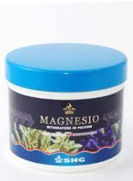 SHG MAGNESIO 200 GR - MAGNESIO IN POLVERE