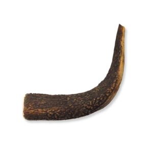 CORNA CERVO M 51/80 G