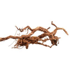 AQPET ZEN WOOD AZALEA