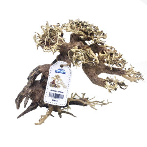 Whimar - Decor Bonsai Wood misura Small
cm25x15x15h