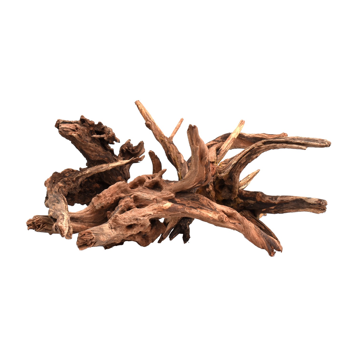 WOOD DRIFT RADICE LEGNO M